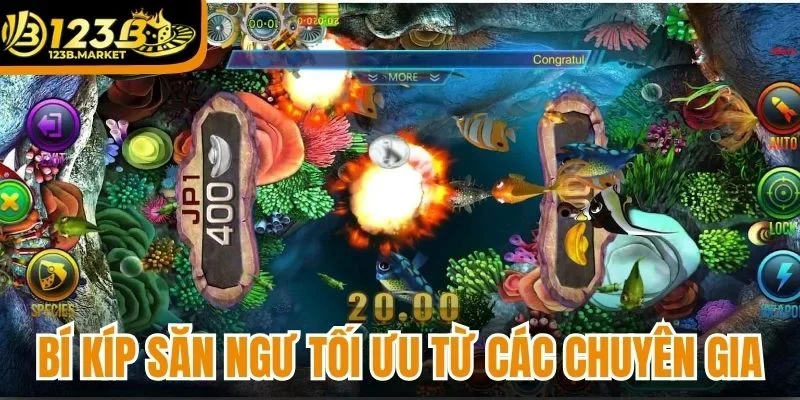 Bí kíp săn ngư tối ưu từ các chuyên gia