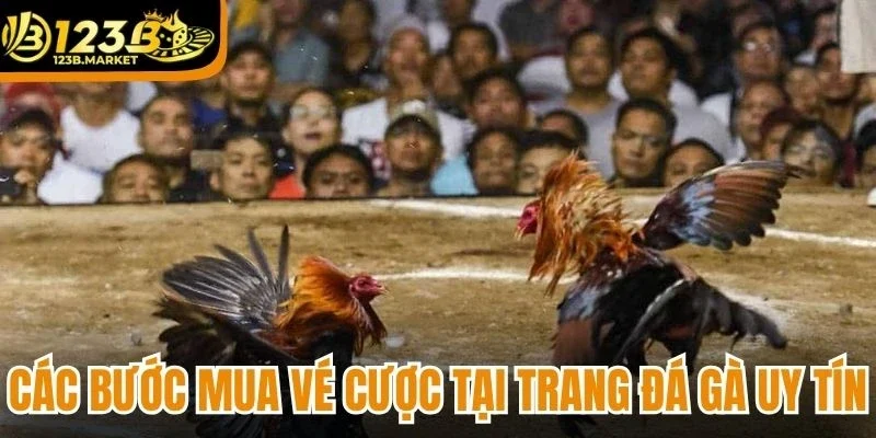 Các bước mua vé cược tại trang đá gà uy tín
