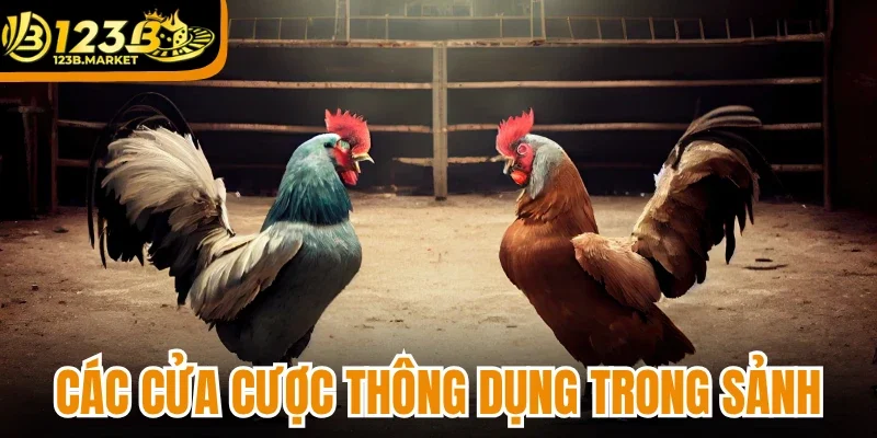 Các kiểu cửa cược thông dụng trong sảnh đá gà