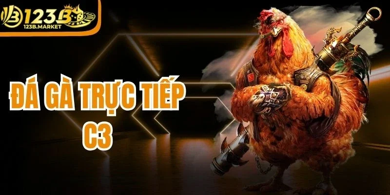 Đá Gà Trực Tiếp C3 - Hình Thức Cá Cược Dẫn Đầu Thị Trường