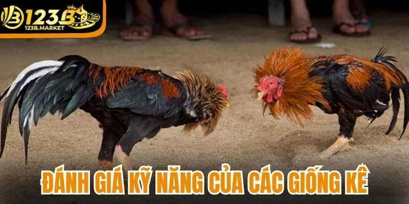 Đánh giá kỹ năng của các giống kê