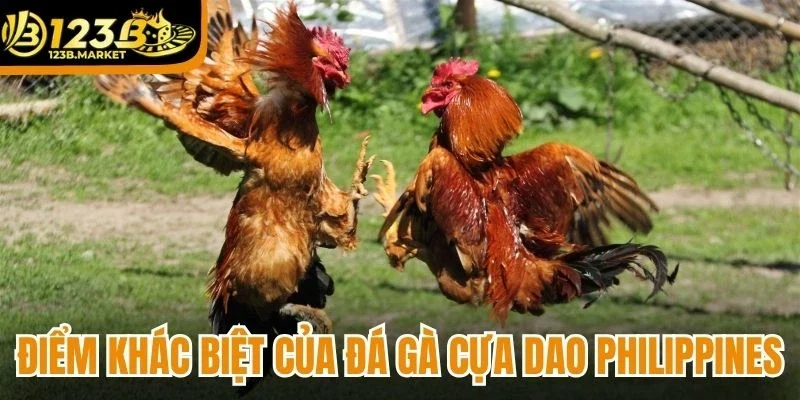 Điểm khác biệt của đá gà cựa dao Philippines