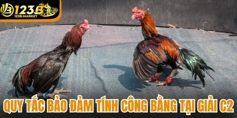 Quy tắc bảo đảm tính công bằng tại giải C2