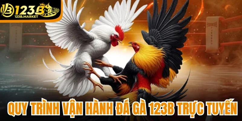 Tìm hiểu quy trình vận hành game đá gà 123b trực tuyến