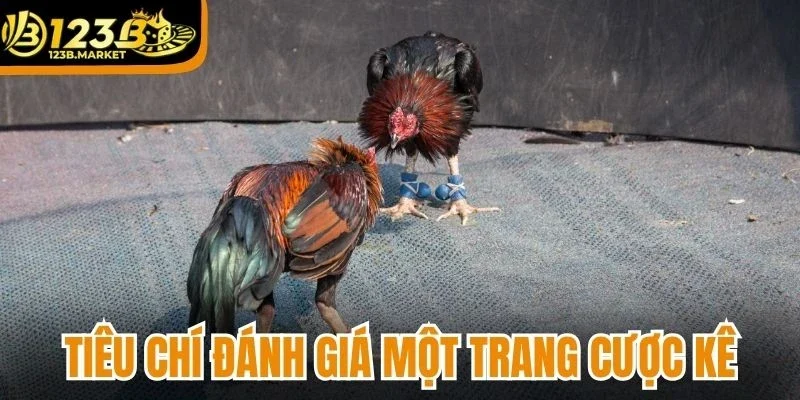 Tiêu chí đánh giá một trang cược kê