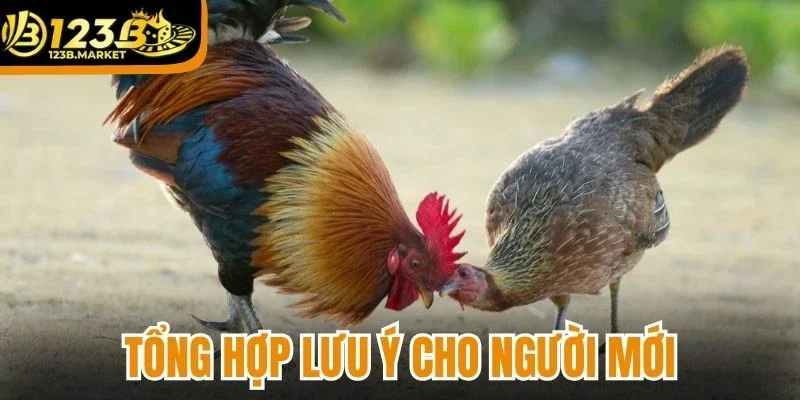 Tổng hợp lưu ý cho người mới