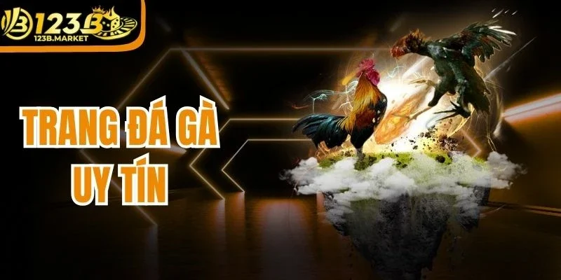 Trang Đá Gà Uy Tín 123B - Web Cược Chọi Kê Xanh Chín